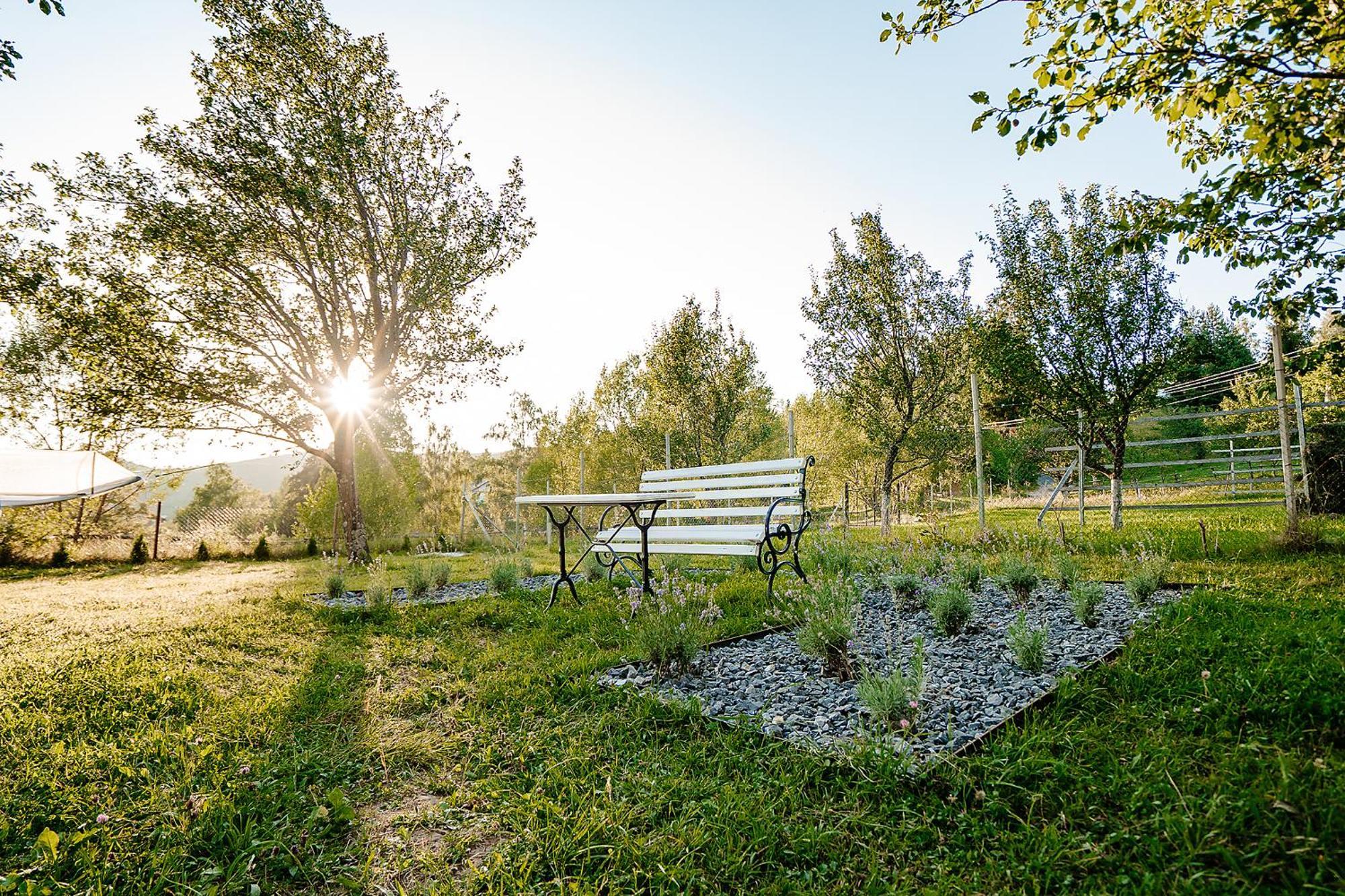 Cabana Allegro Moisei Exteriér fotografie