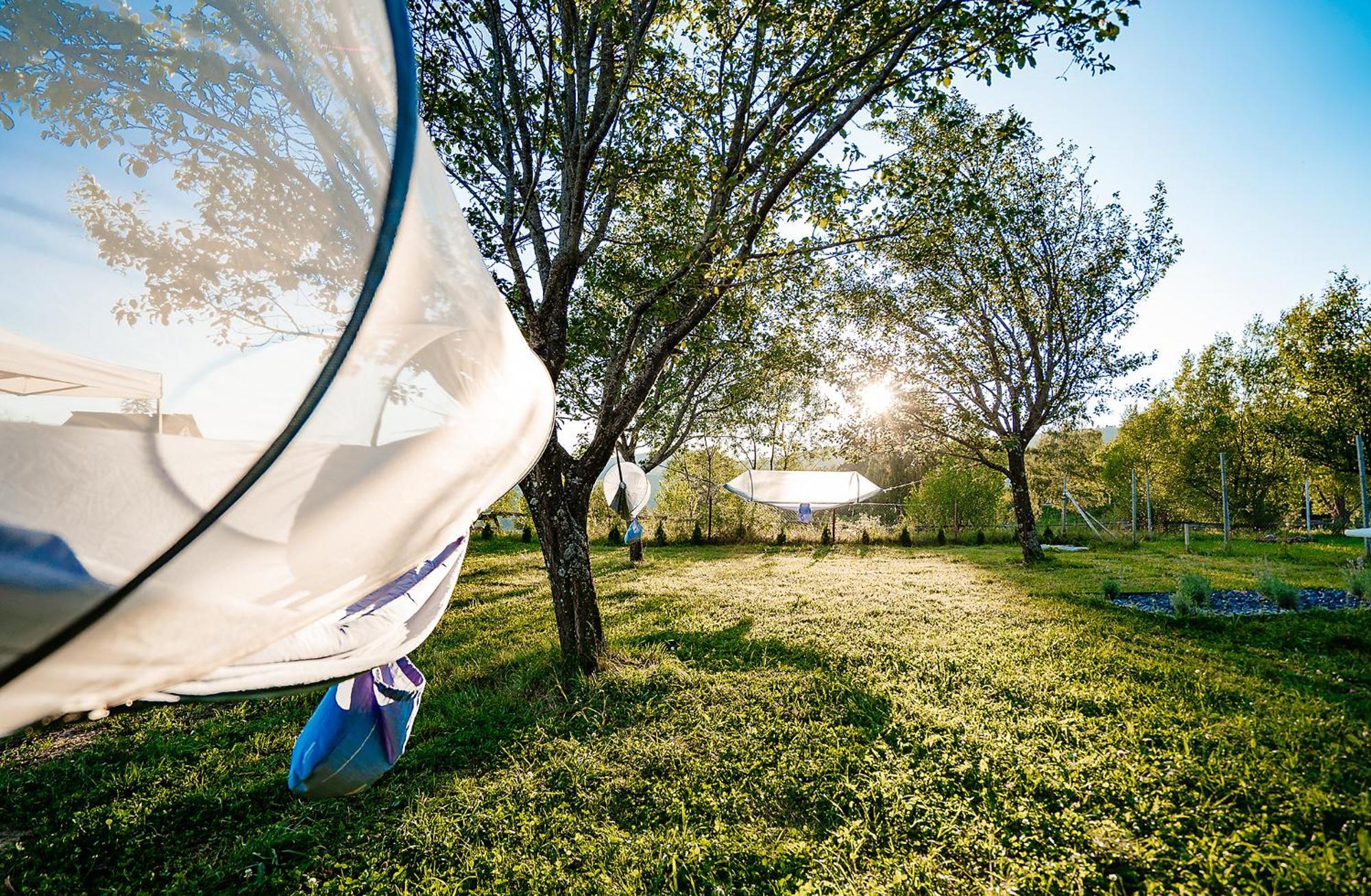 Cabana Allegro Moisei Exteriér fotografie